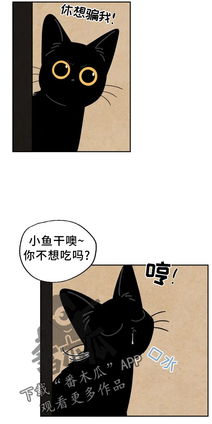 第54章：原因3