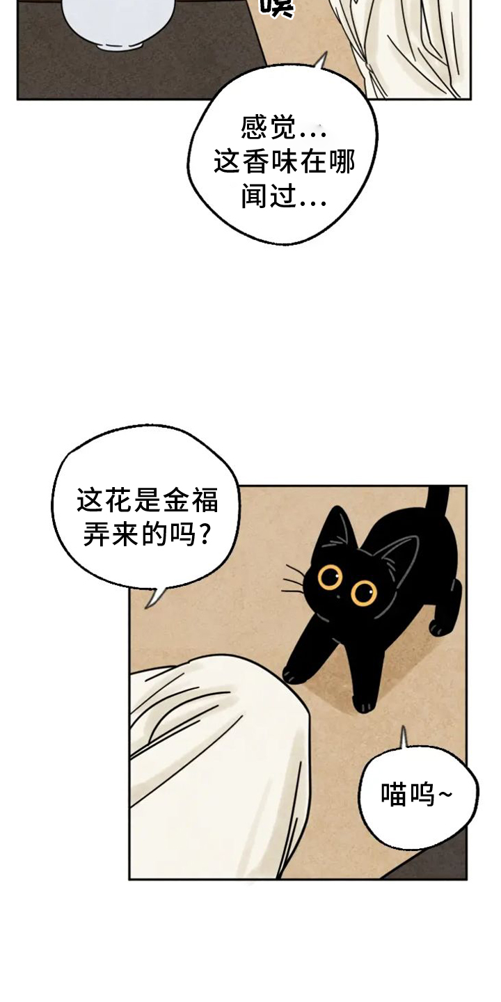 第51章：生病0