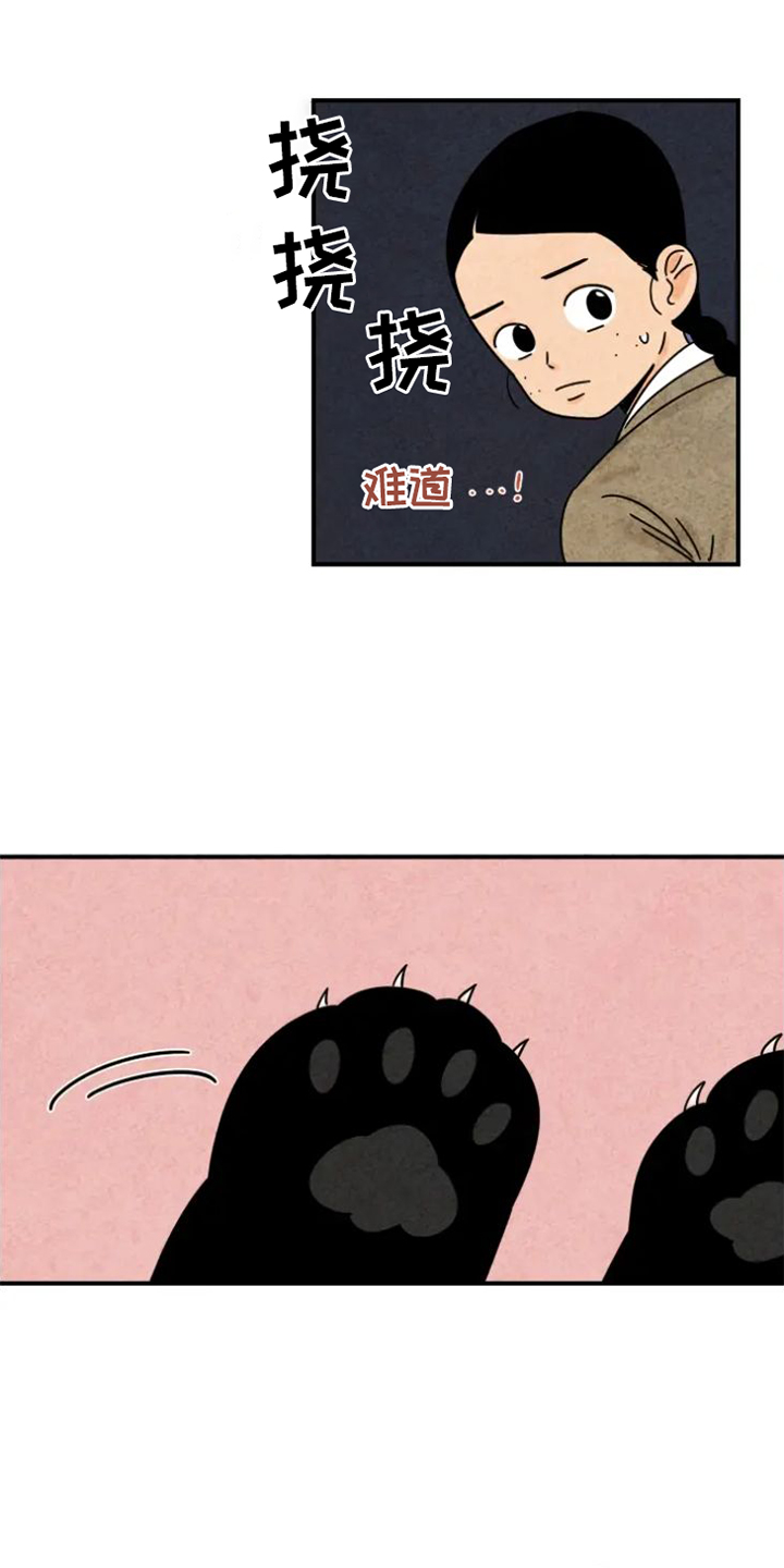 第39章：猫抓板2