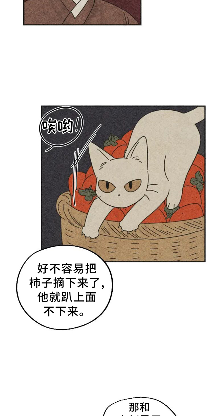 第41章：柿子0