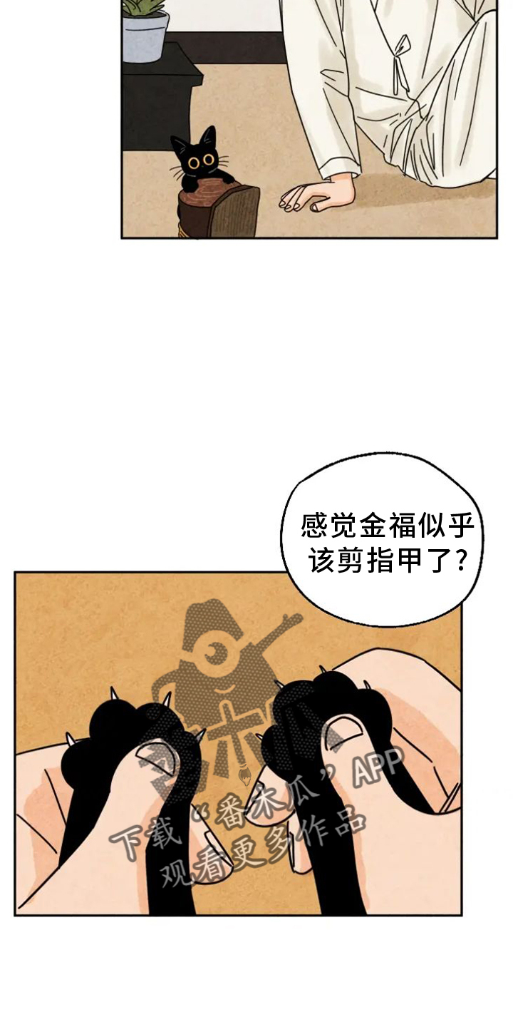 第52章：感动1