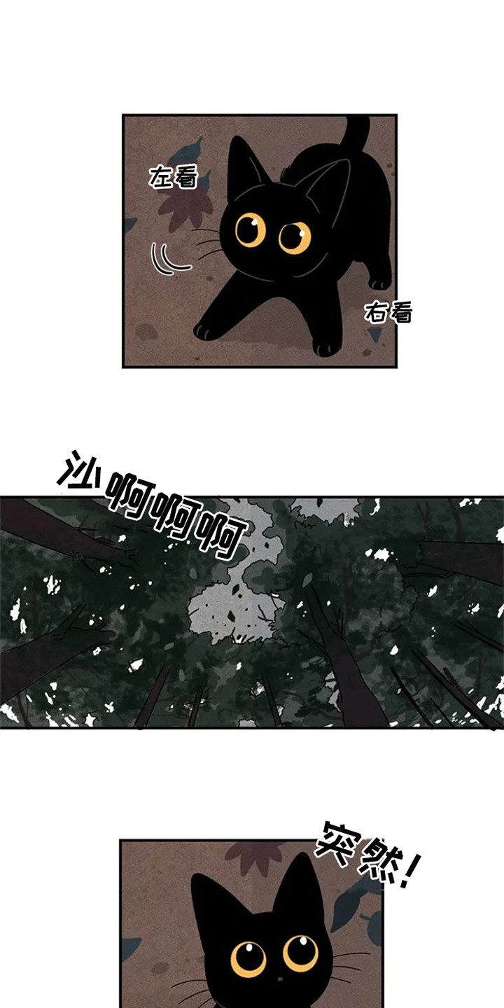 第21章：迷路了0