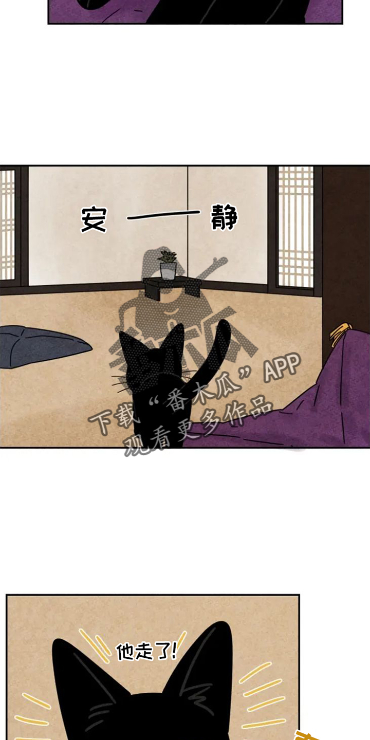 第47章：挠伤1