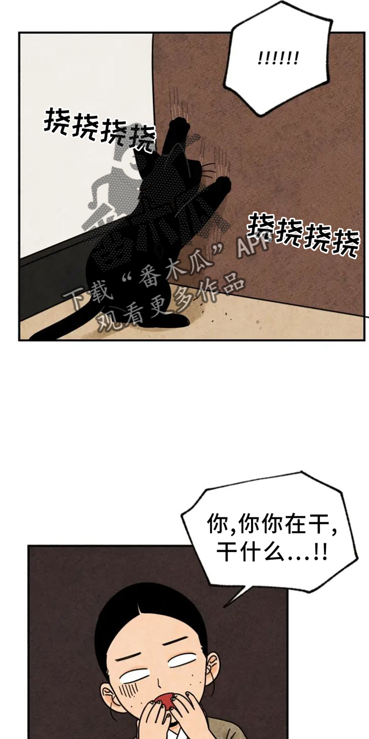 第39章：猫抓板3