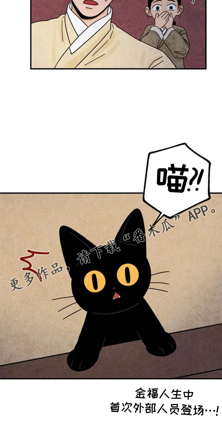 第44章：夜访4