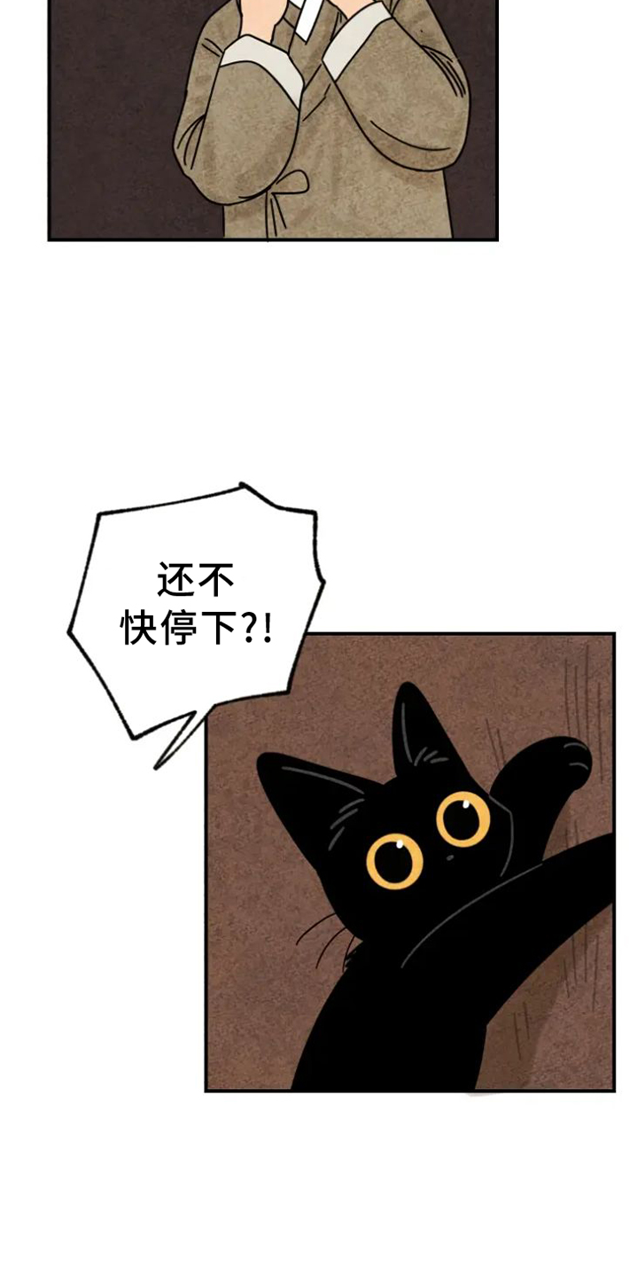 第39章：猫抓板4