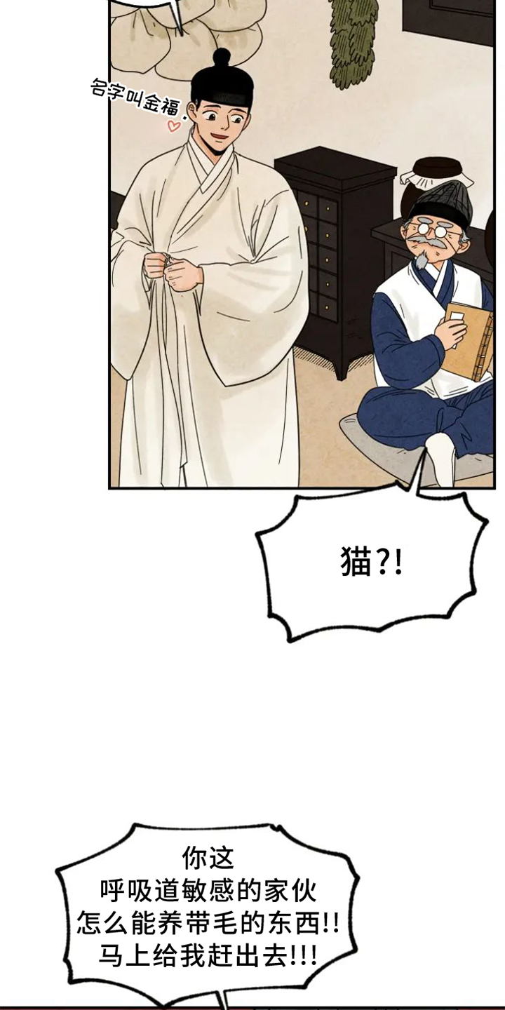 第39章：猫抓板0