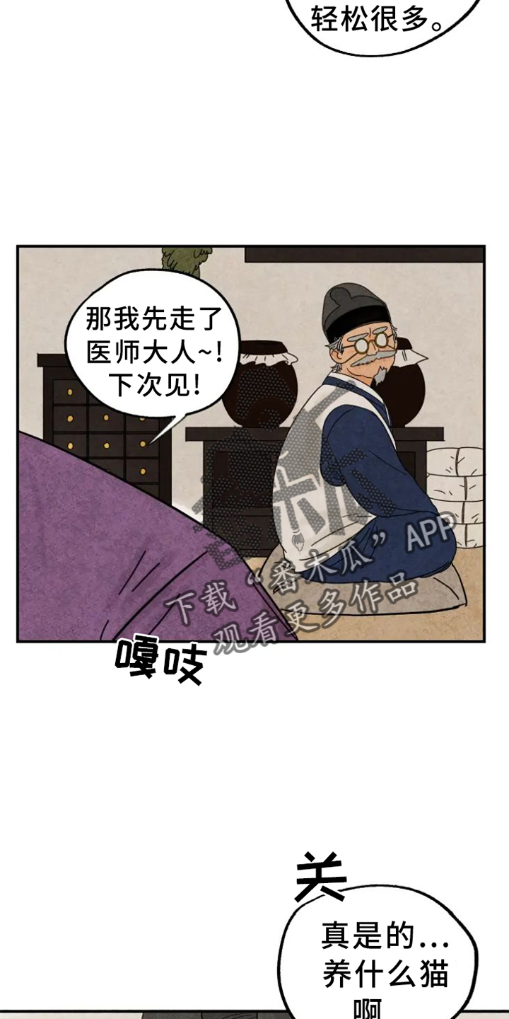 第39章：猫抓板3