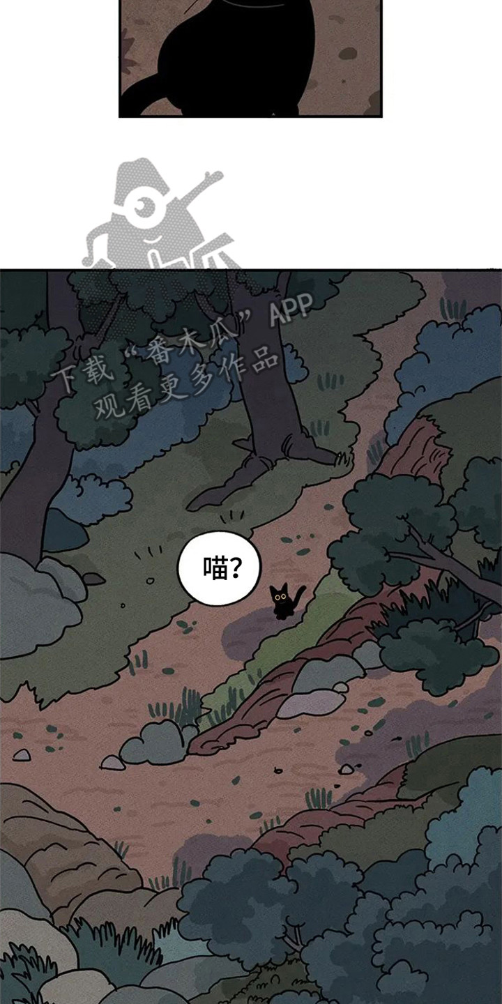 第21章：迷路了1