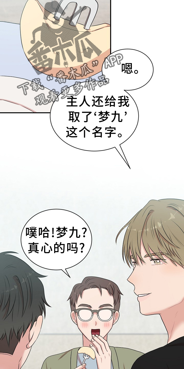 第37章：命令1