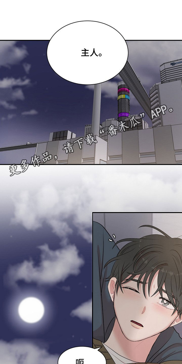 第26章：挨打0