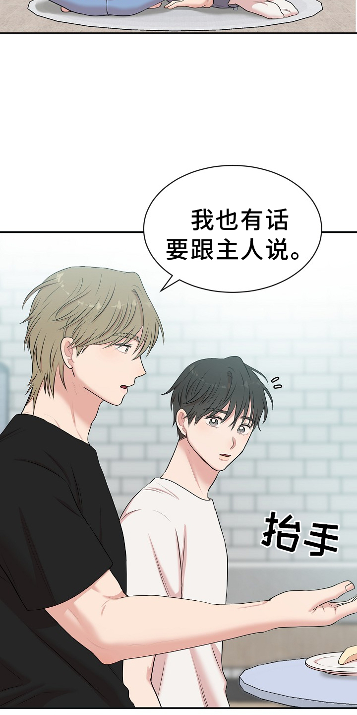 第37章：命令4