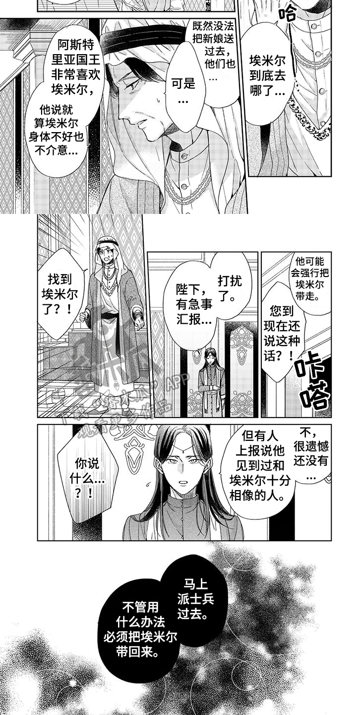 第17章：命令3