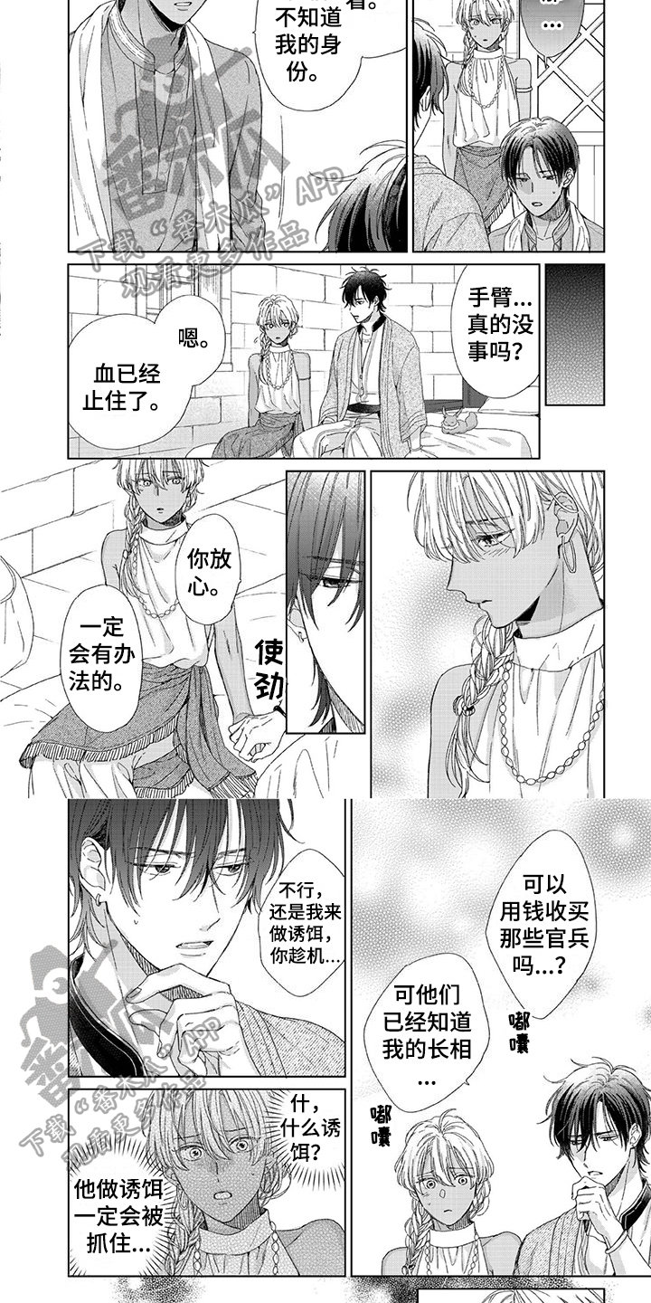 第19章：危机3