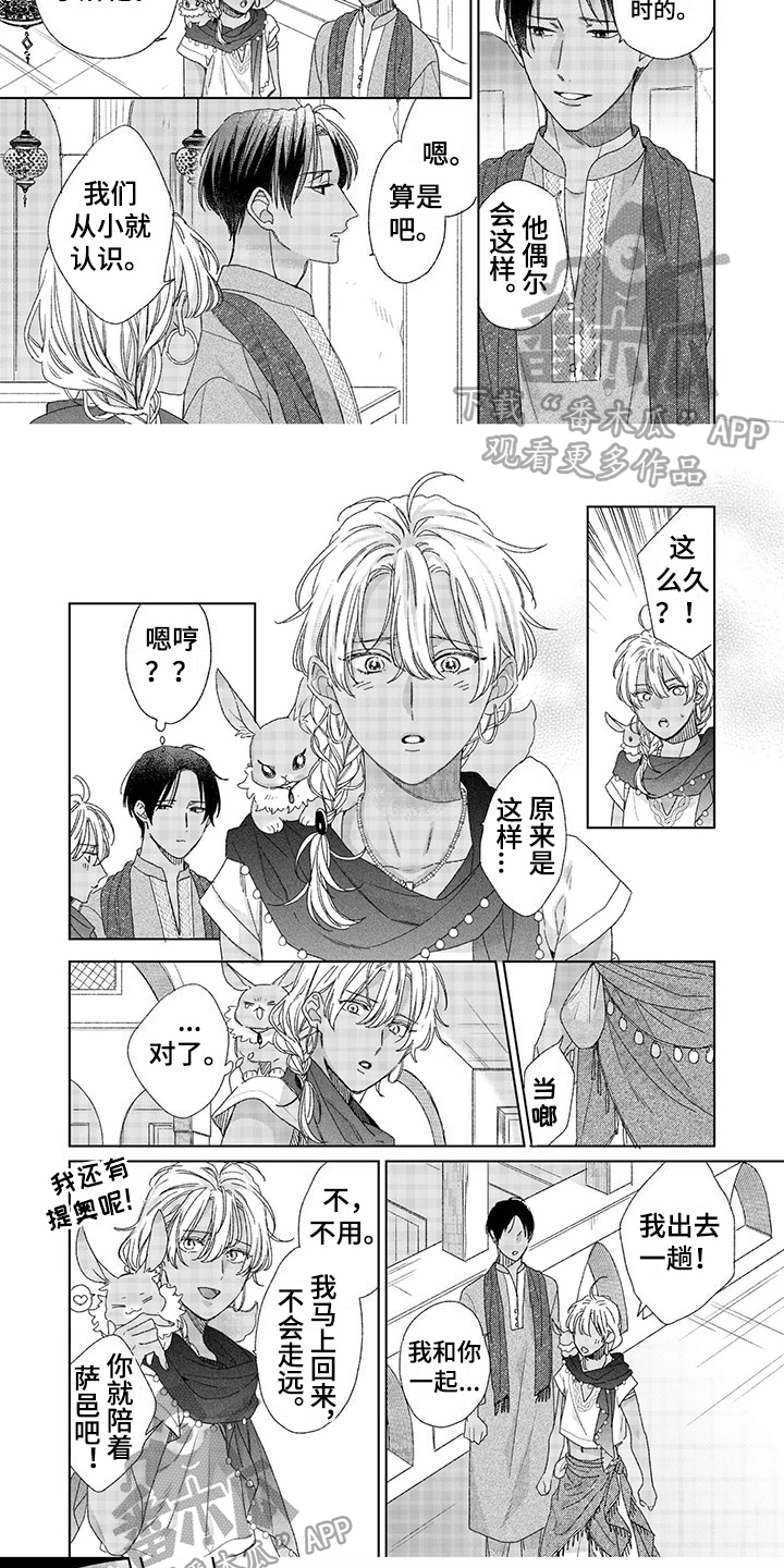 第11章：礼物3