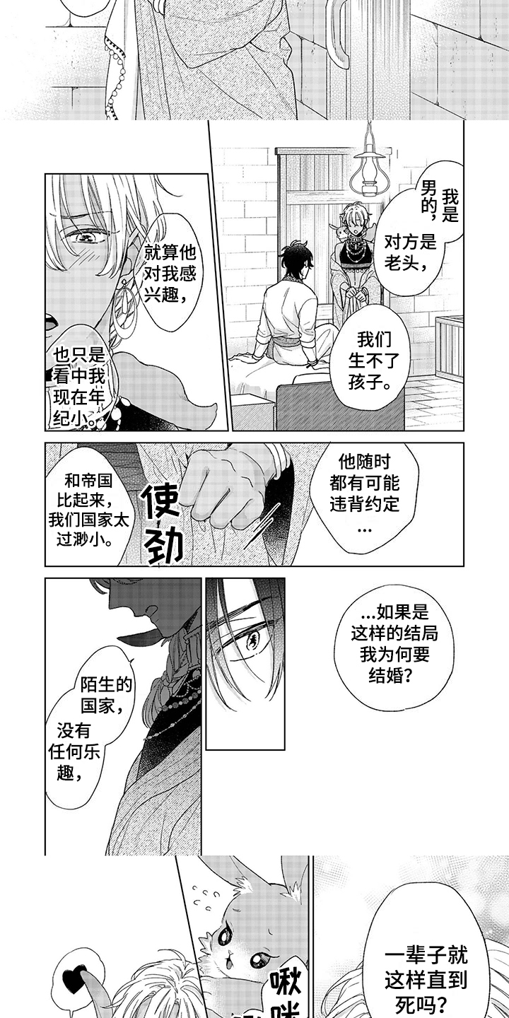 第2章：理由4