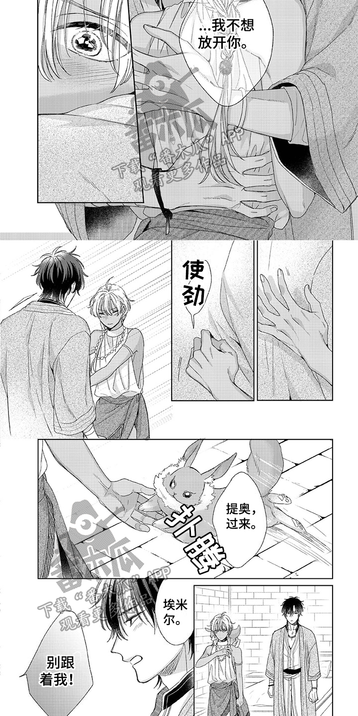 第20章：选择4