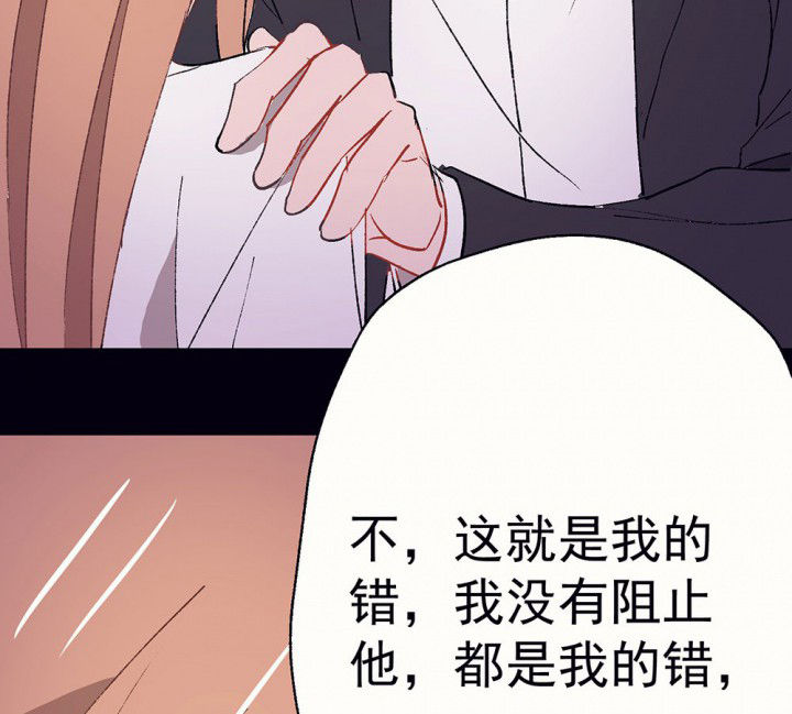第56章：回忆篇-骤变22