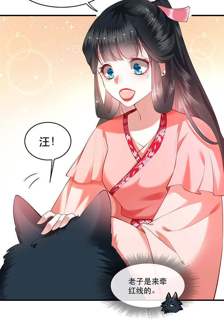 第54章：学会给主人捡东西了！3