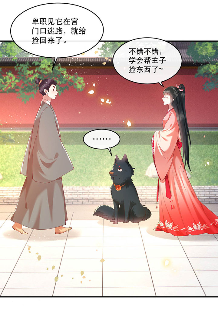 第54章：学会给主人捡东西了！4