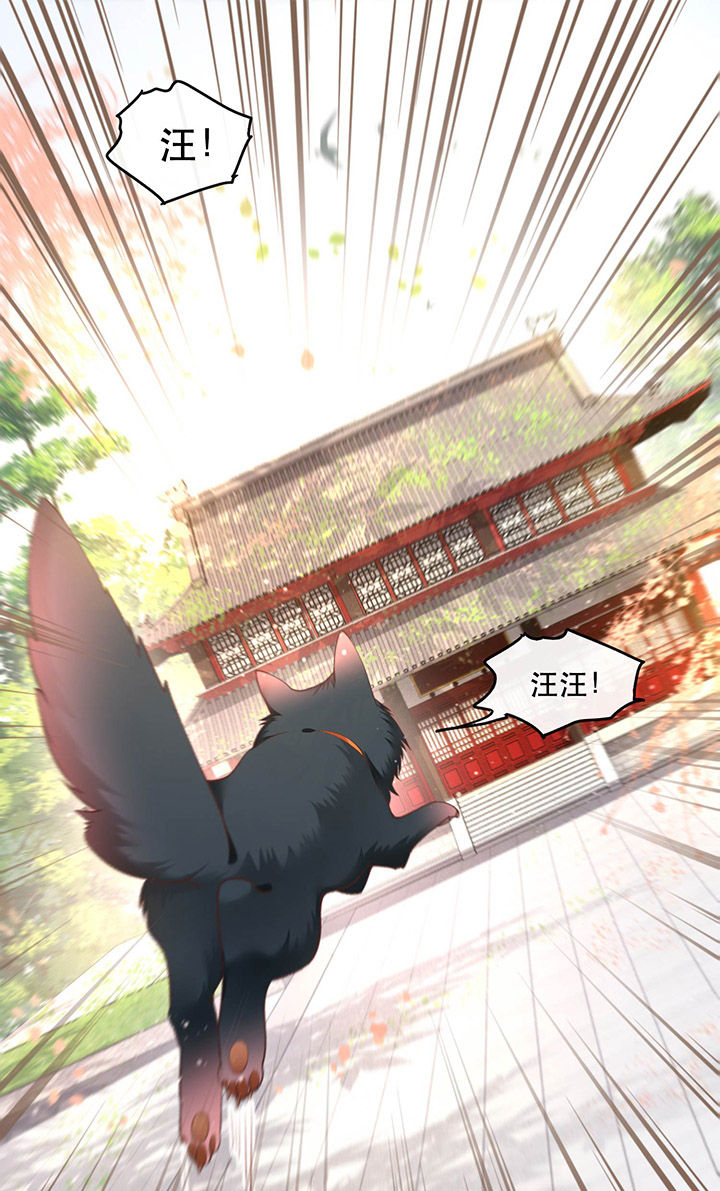 第54章：学会给主人捡东西了！1