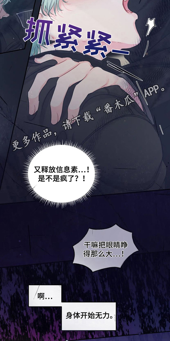 第6章：完美型4