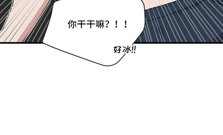 第55章：不能没有你0