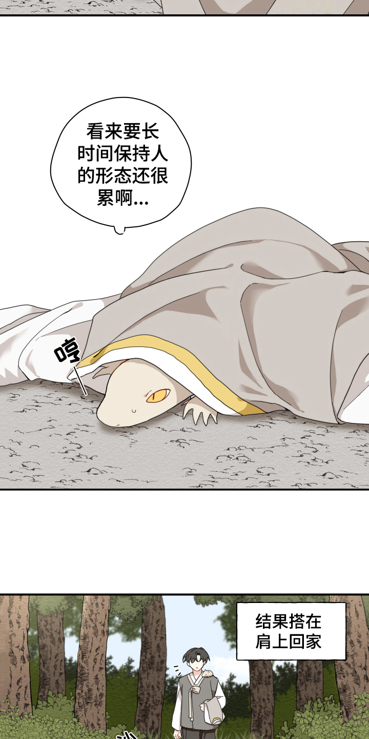 第15章：体质3