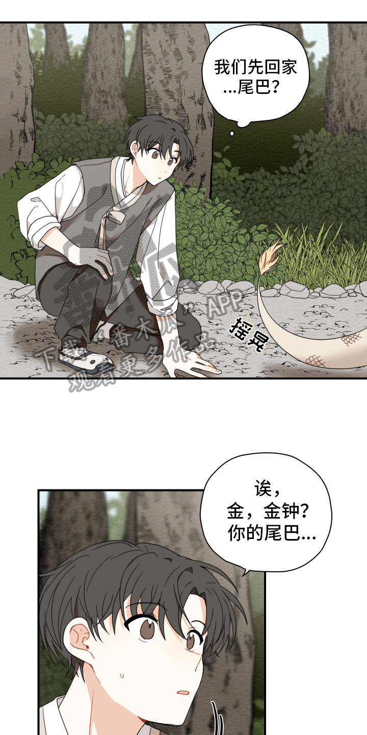 第15章：体质0