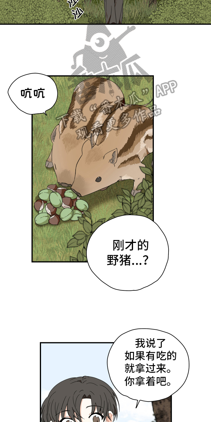 第15章：体质4