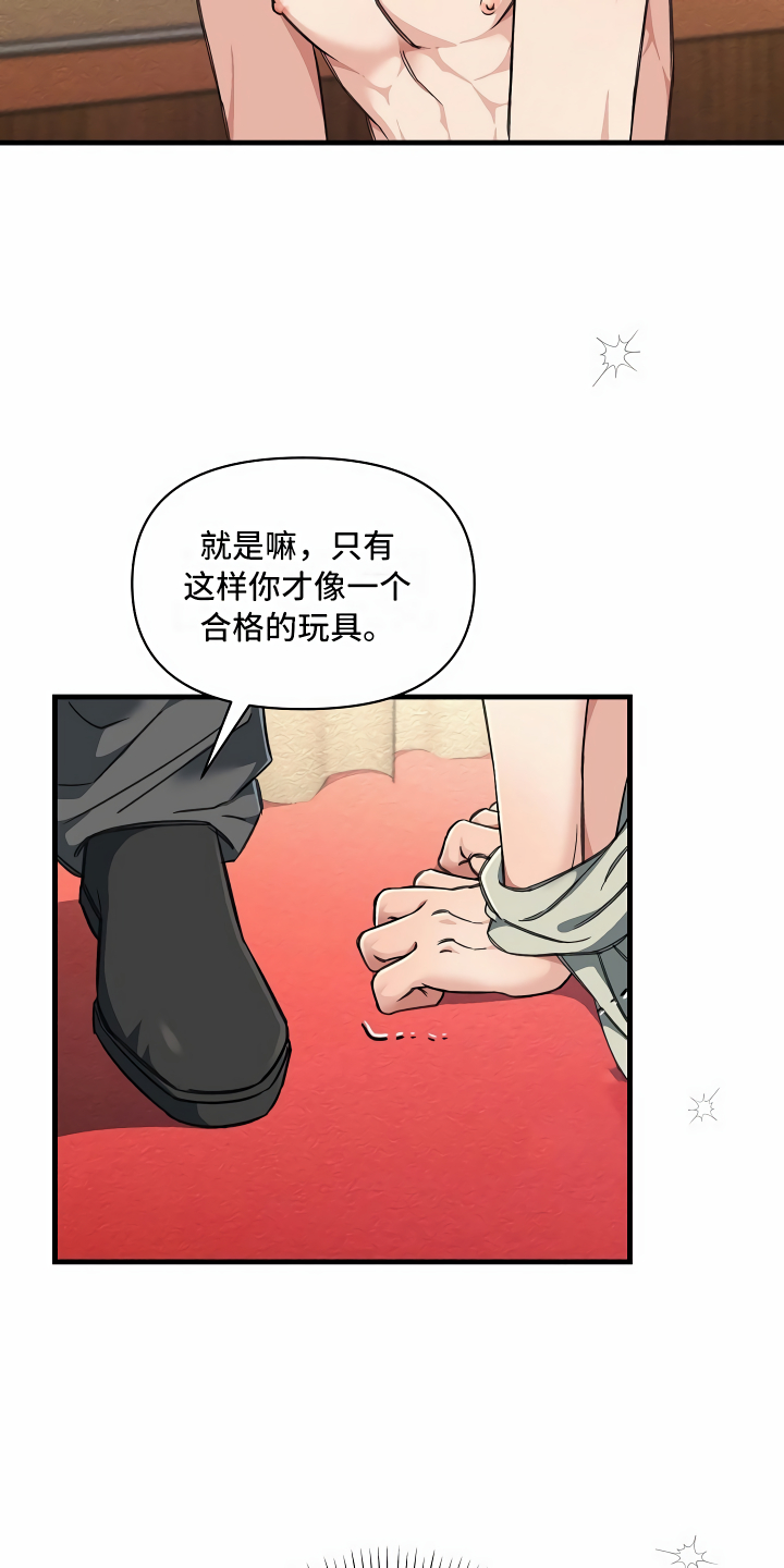 第22章：经济舱玩具0