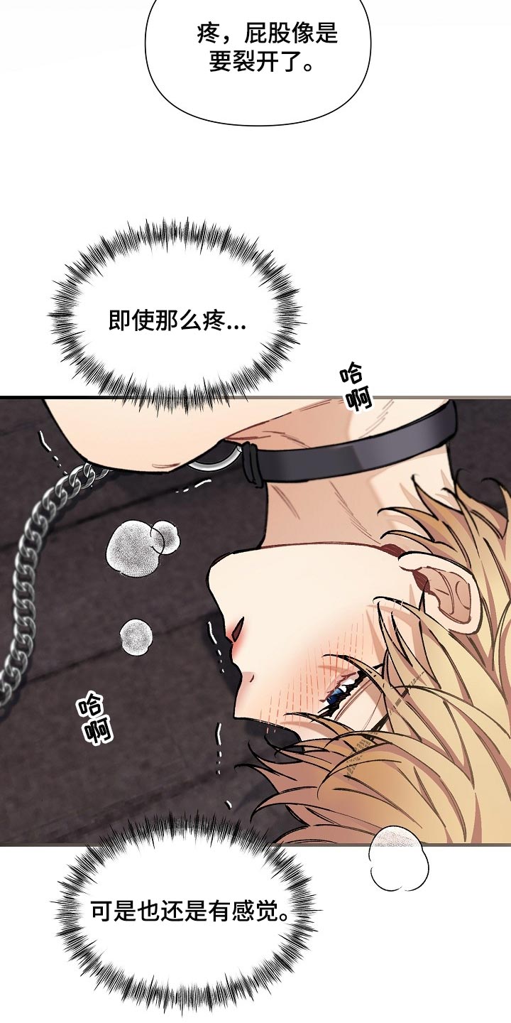 第65章：【第二季】狗的本分0