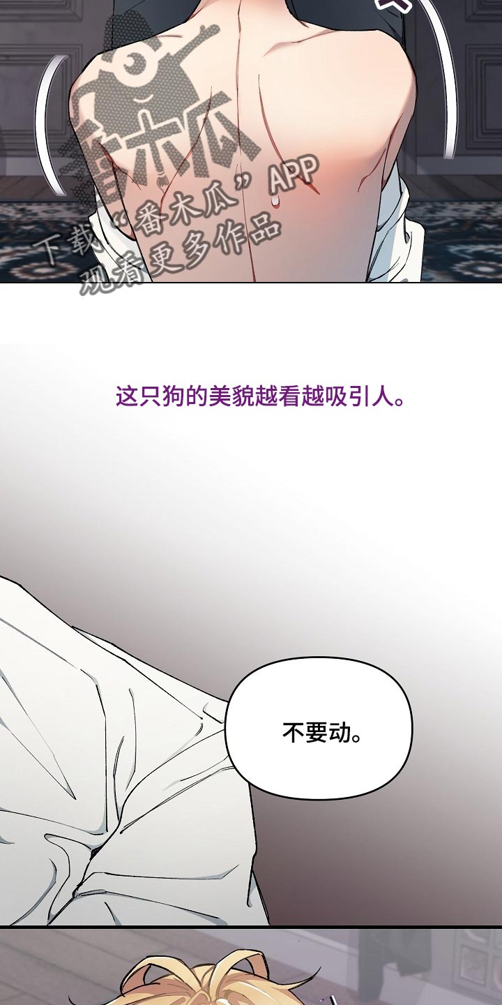 第59章：【第二季】不错的选择4