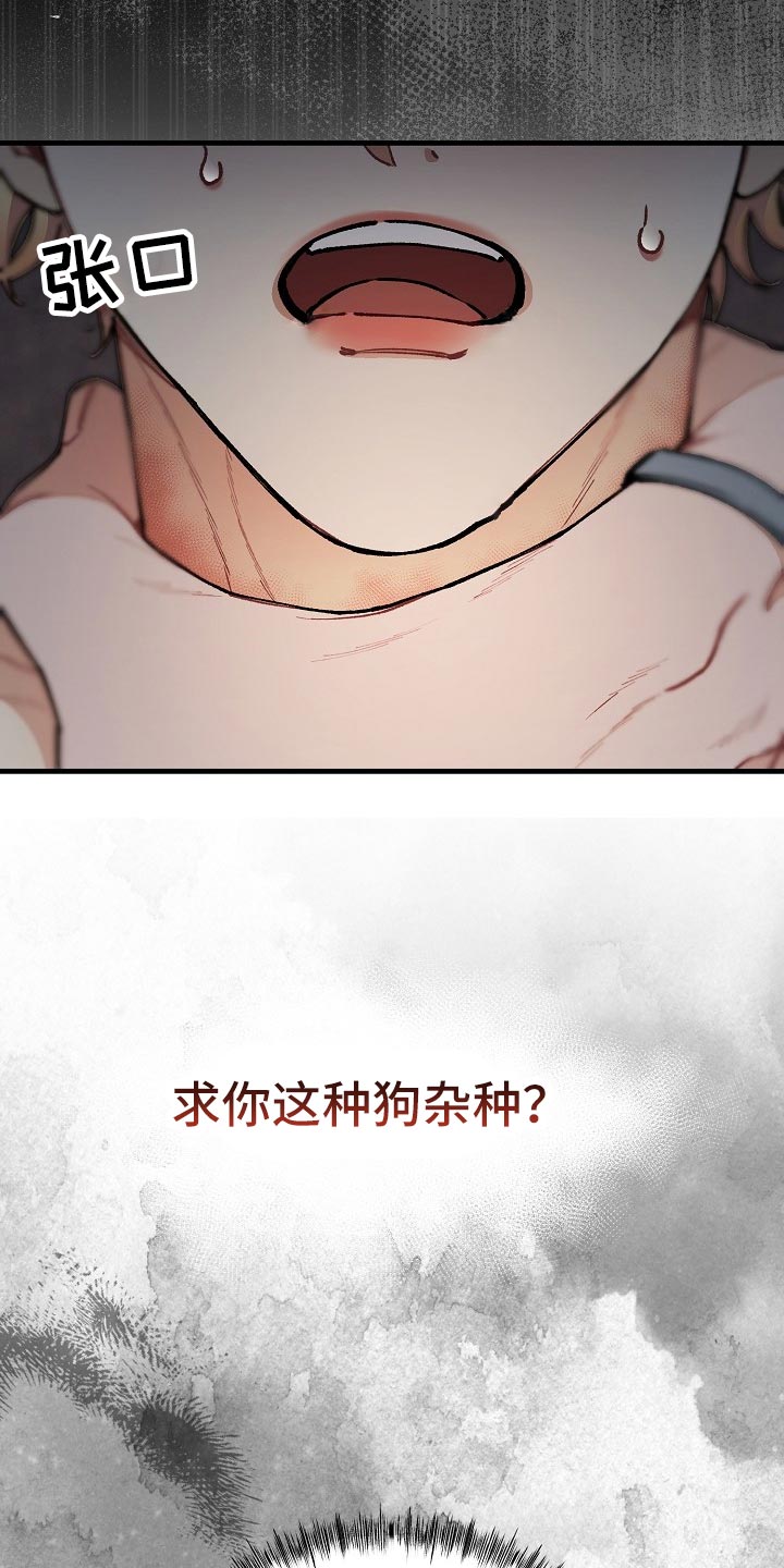 第63章：【第二季】最后的挣扎和机会0