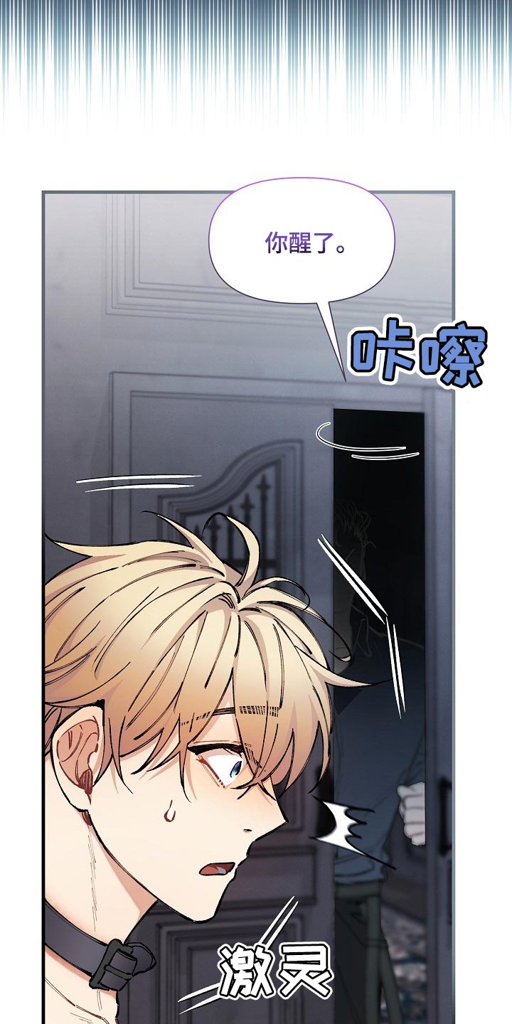 第68章：【第二季】毕竟是市场0