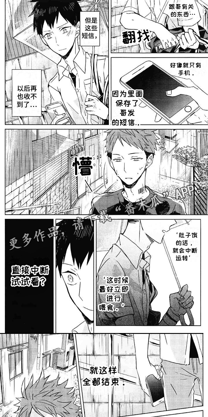 第6章：没有意义4
