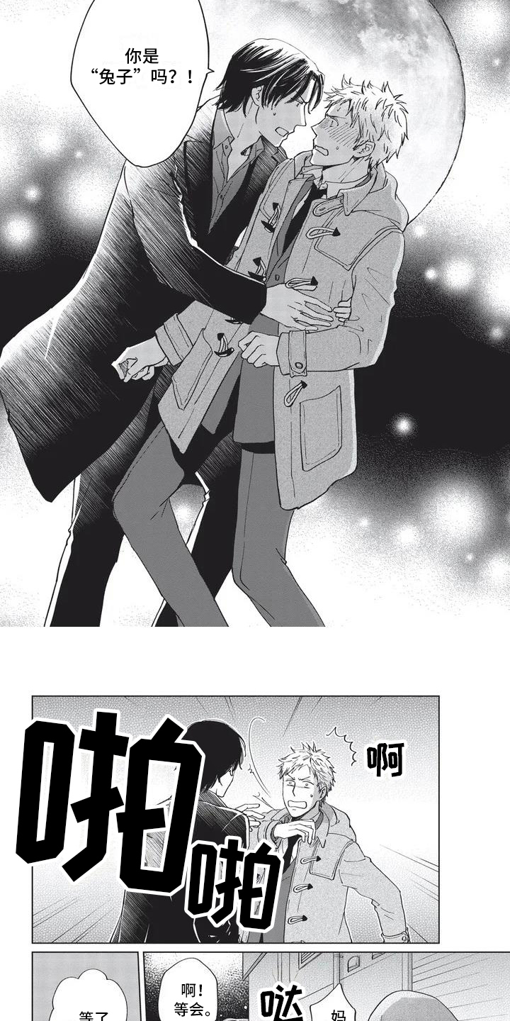 第1章：兔子3