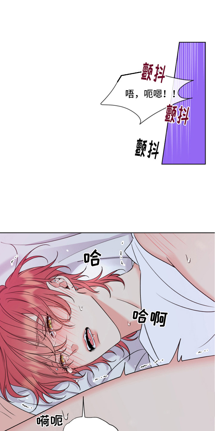 第11章：疯子0