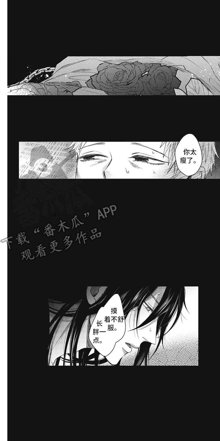 第20章：守护神1