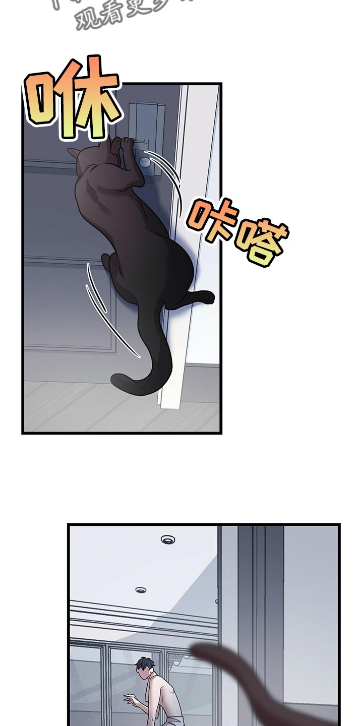 第29章：聪明的猫咪0
