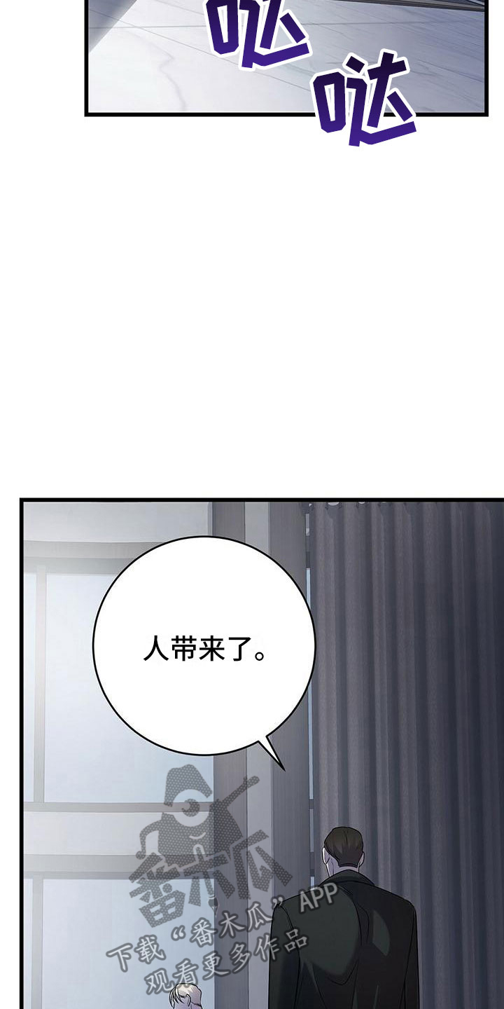 第17章：检查3
