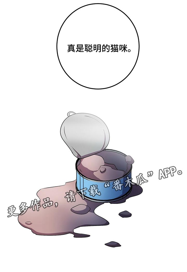 第29章：聪明的猫咪2