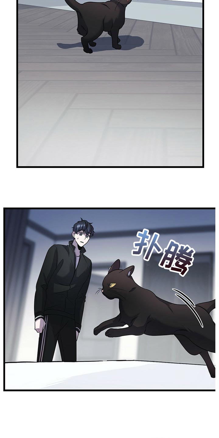 第29章：聪明的猫咪1