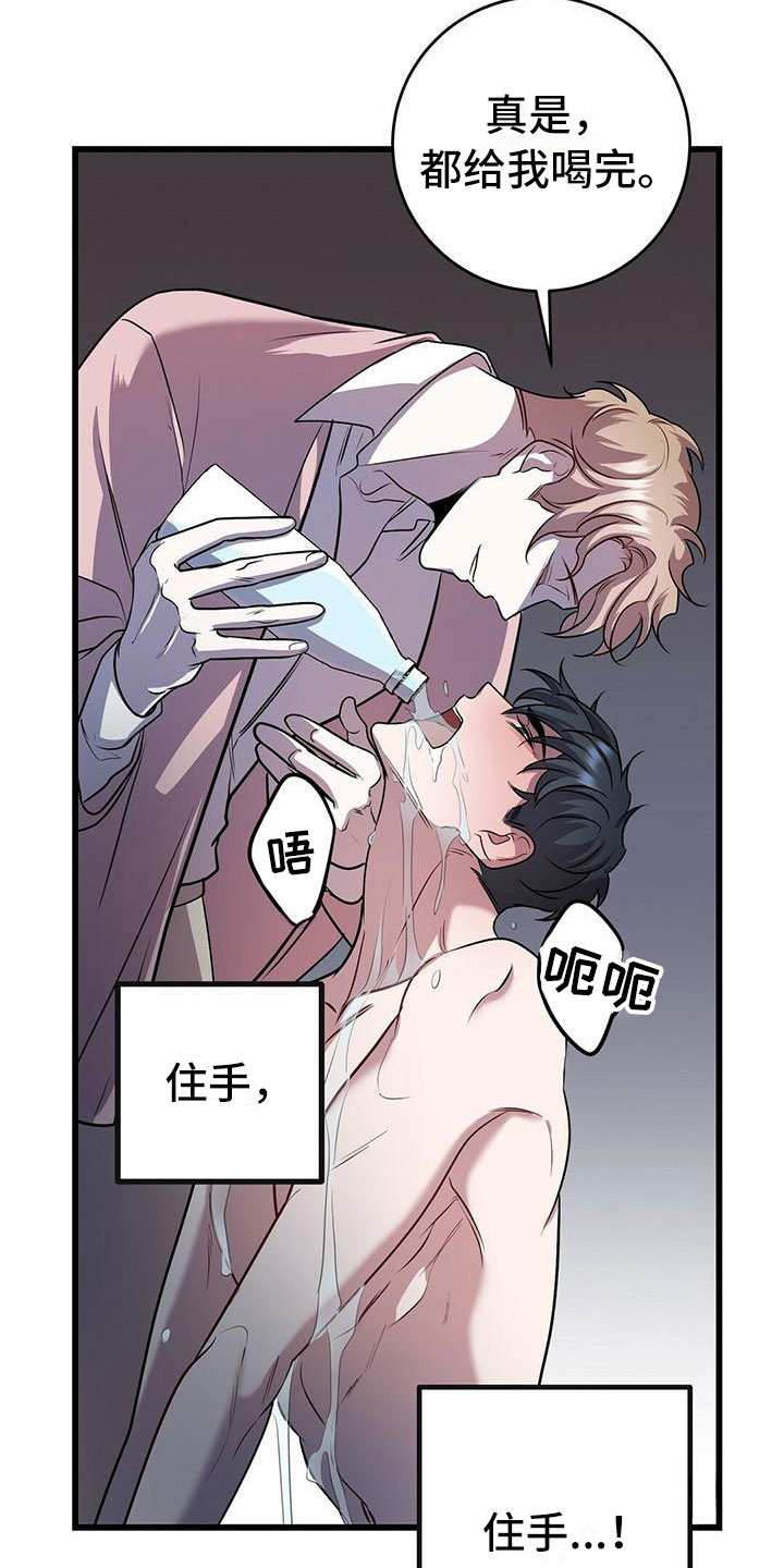 第20章：触底反弹4