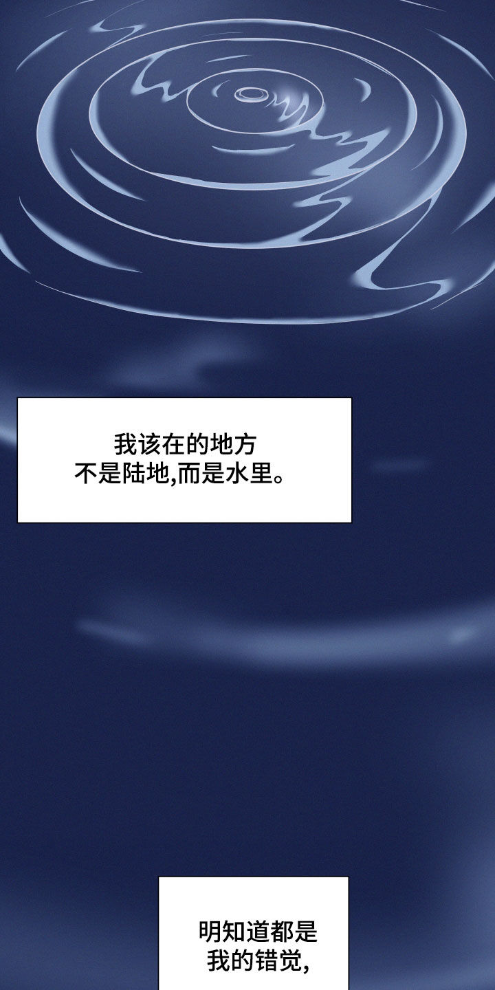 第37章：错觉0