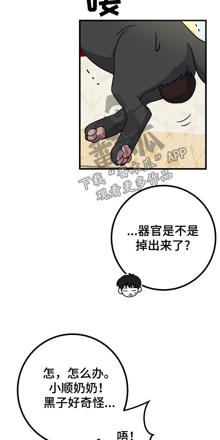 第28章：召唤3