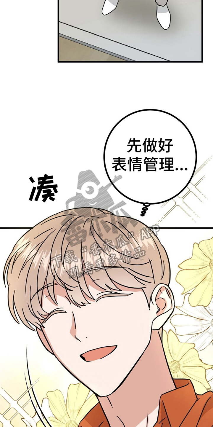 第22章：针对3
