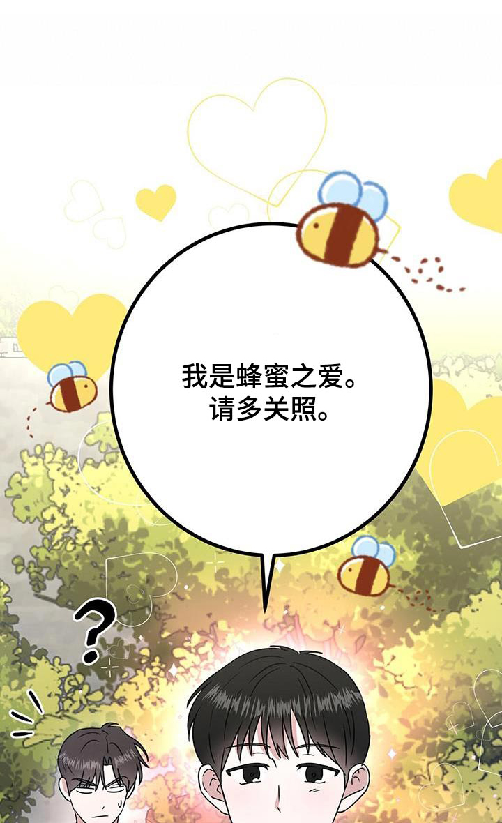第34章：修饰0