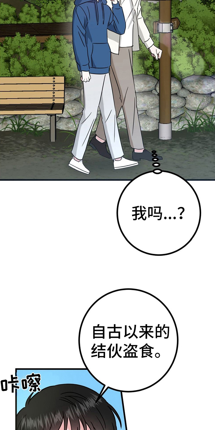 第17章：又被骗了4