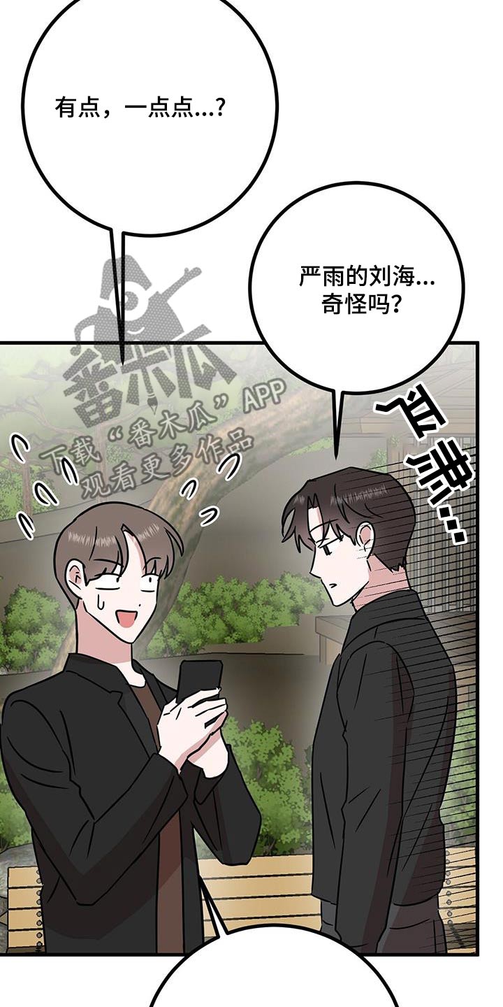第34章：修饰2